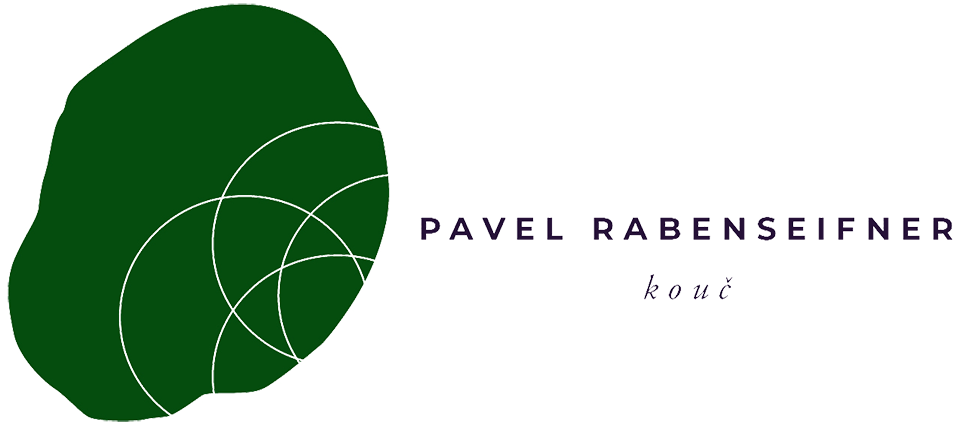 logo_full_pruhledne